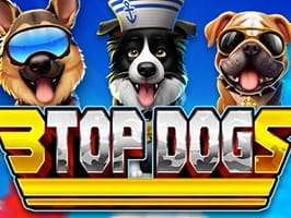 3 Top Dogs thumbnail